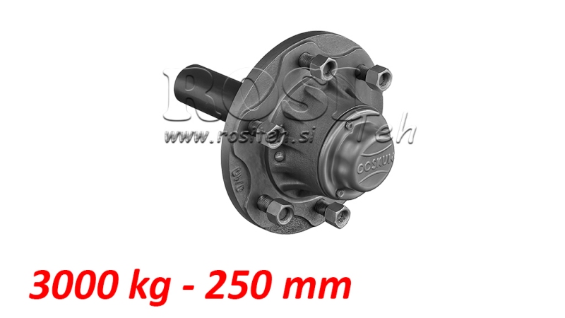 ΜΙΣΟΣ ΑΞΟΝΑΣ 3000 KG L.250 MM