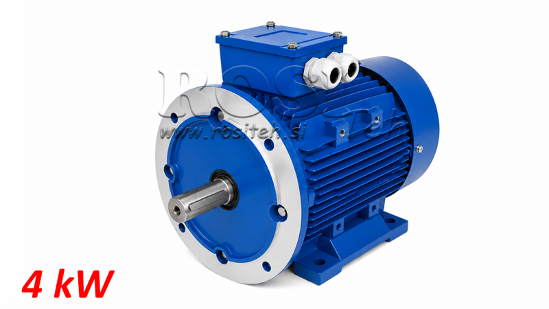 4KW-ELEKTRINIS VARIKLIS MS100L3-4 4_1430RPM 3FAZĖS KOJOS+FLANŠAS-B3B5