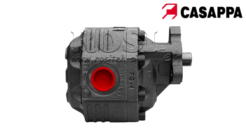 HYDRAULIKPUMPE 100cc GUSSEISEN CASAPPA - UMKEHRBAR