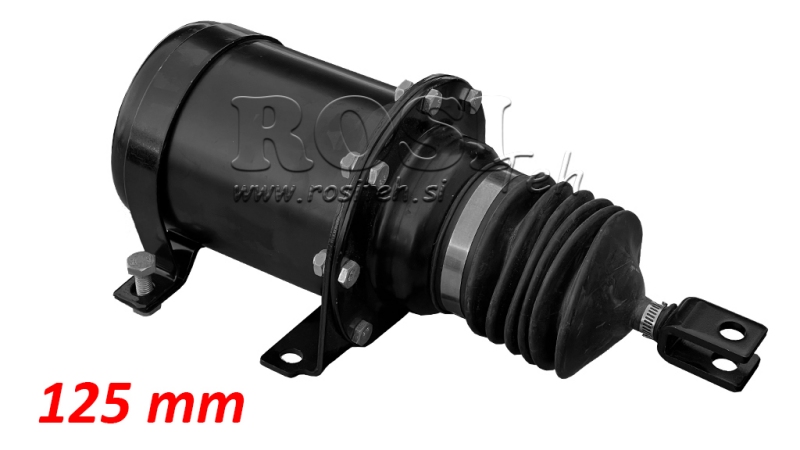 AIR BRAKE CYLINDER - MEMBRANE 125 MM