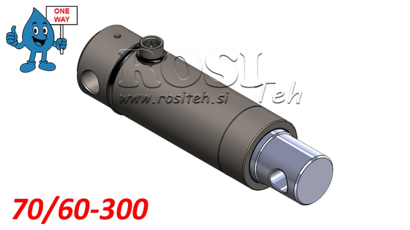 HIDRAULINIS CILINDRAS MONO 70/60-300