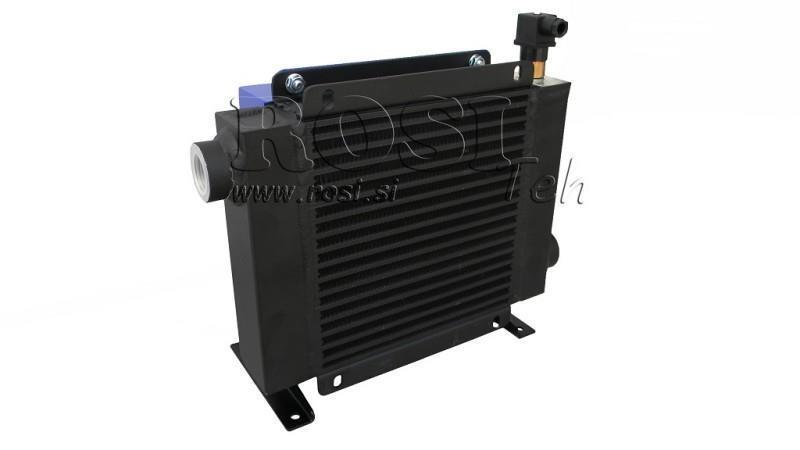 RADIATORE OLIO AC 230V HY03801 40-160 LIT
