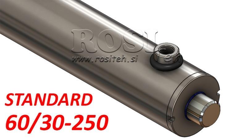 HYDRAULISCHE CYLINDER STANDAARD 60/30-250