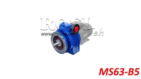 RIDUTTORE VARIABILE UDL PER MOTORE ELETTRICO MS63-B5