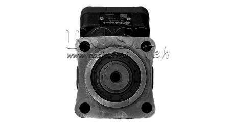 HYDRAULISCHE GRIJZE IJZER POMP 107CC BANANA